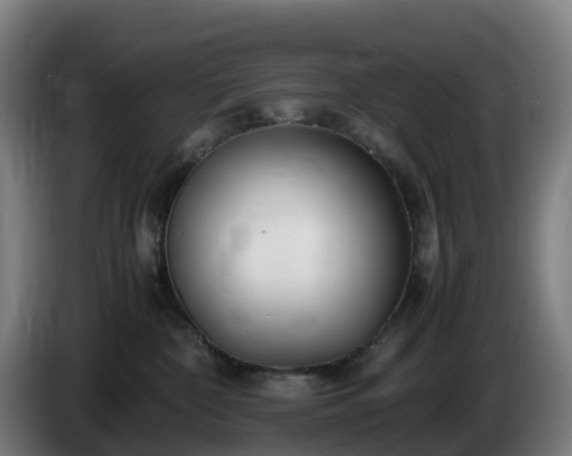 X0000086010332200703301016