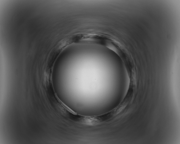 X0000086010333200703301016