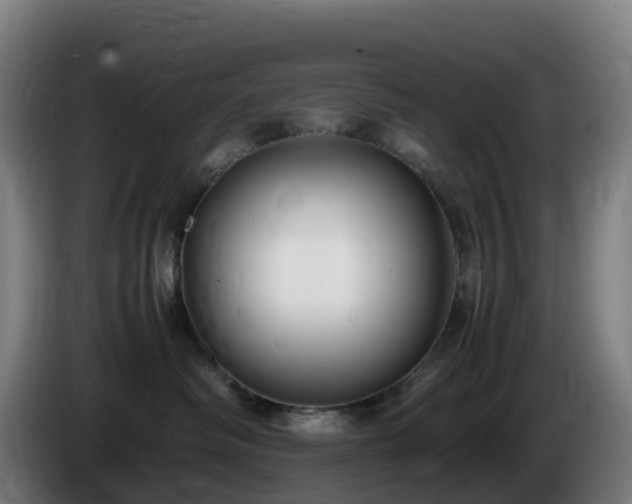 X0000086010334200703301016