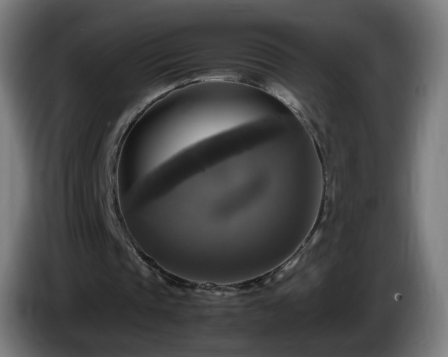 X0000086010337200703301015