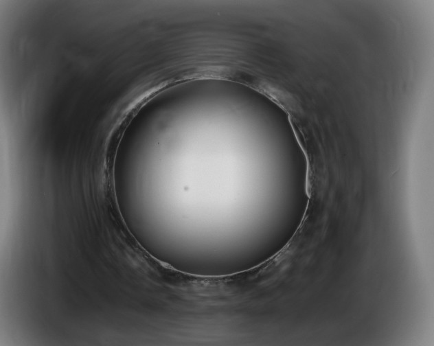 X0000086010338200703301015