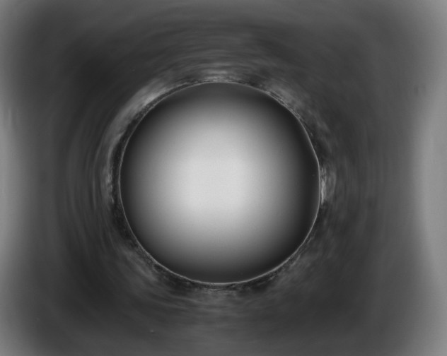 X0000086010339200703301015