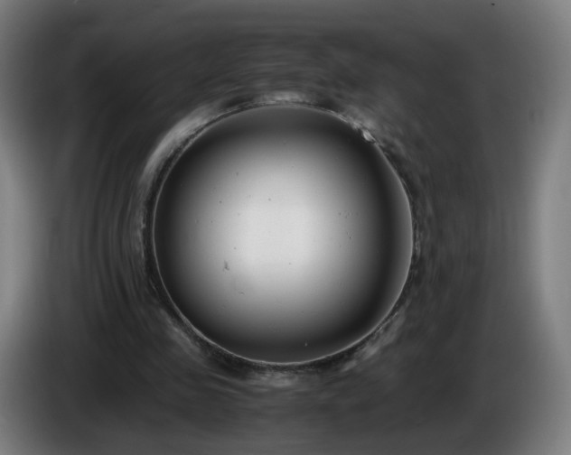 X0000086010341200703301015