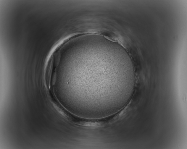 X0000086010342200703301015