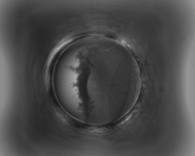 X0000086010343200703301015