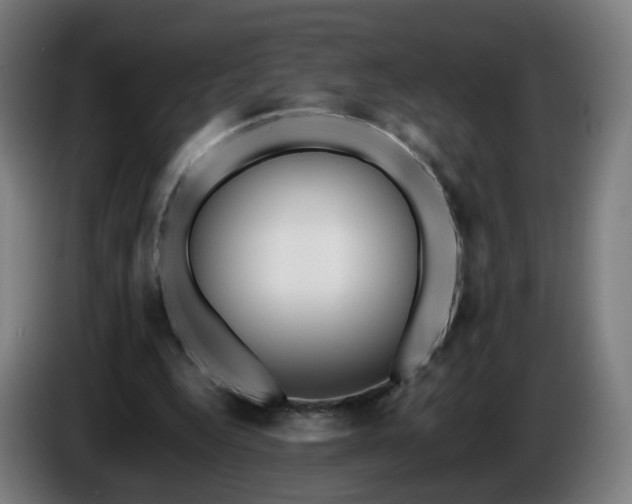 X0000086010344200703301015