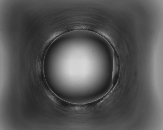 X0000086010345200703301015
