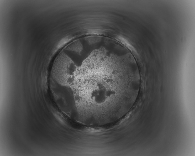 X0000086010346200703301015