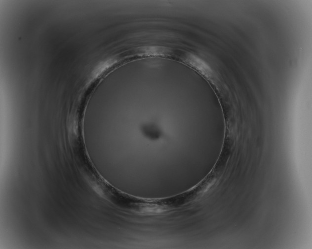 X0000086010347200703301015