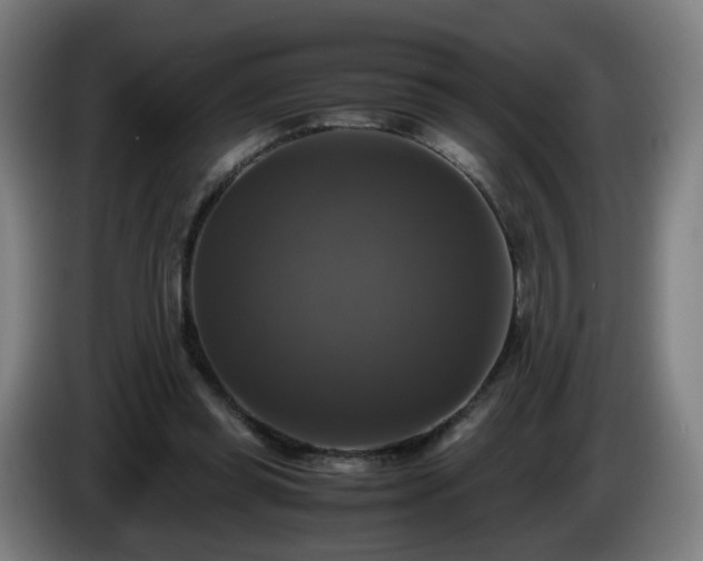 X0000086010349200703301015