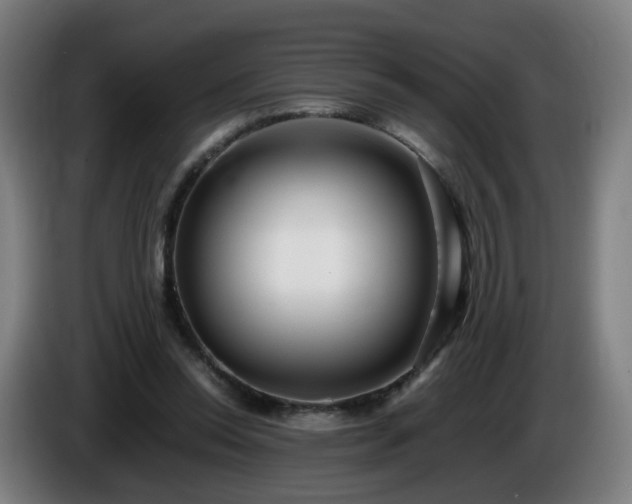 X0000086010350200703301015