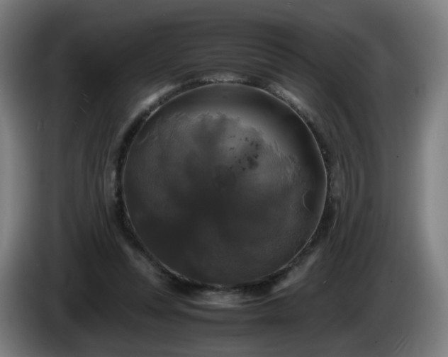 X0000086010351200703301015