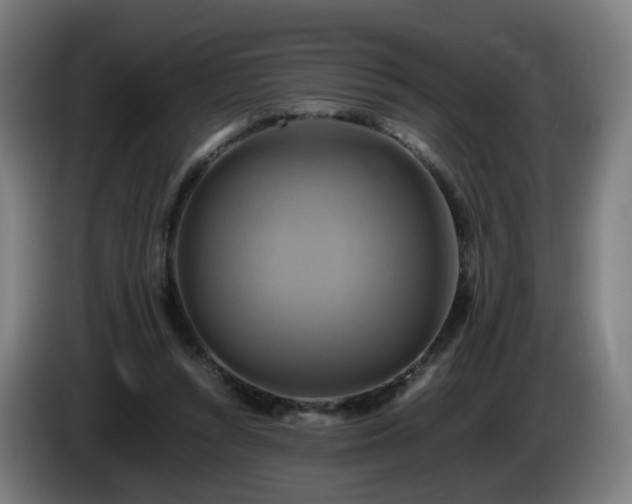 X0000086010352200703301015