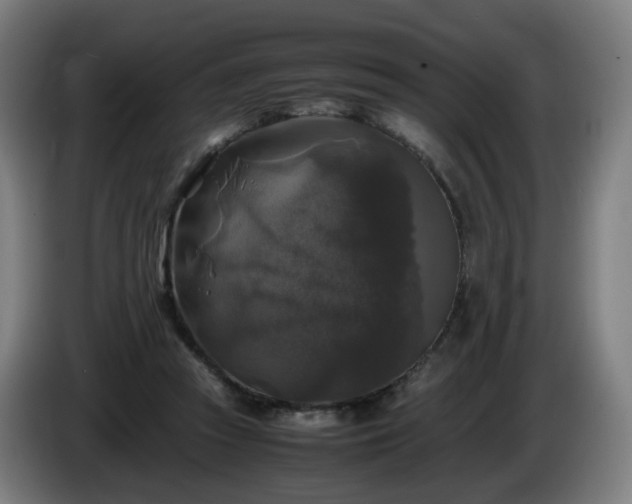 X0000086010353200703301015