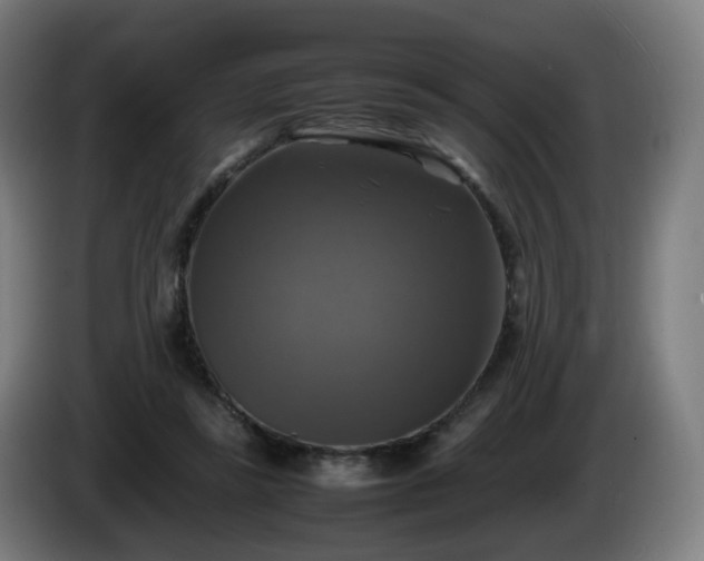 X0000086010355200703301015