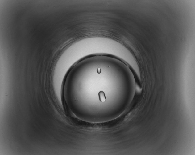 X0000086010356200703301015