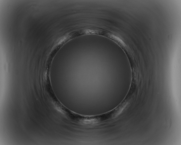 X0000086010357200703301015