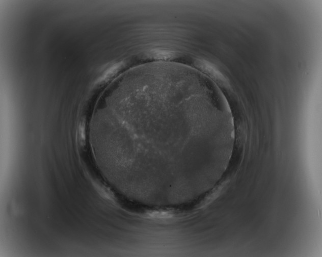 X0000086010358200703301015