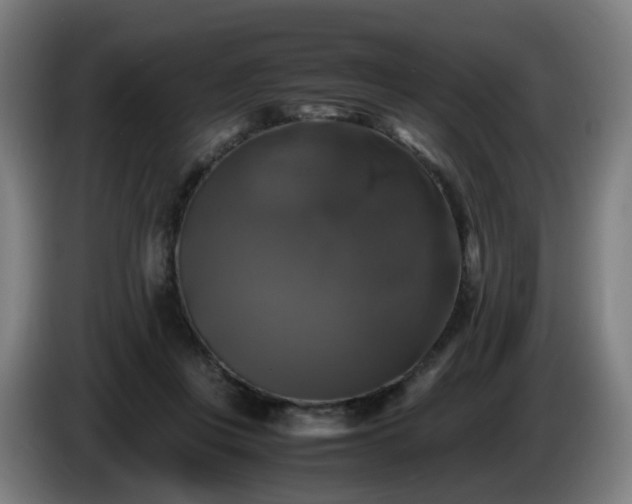 X0000086010359200703301015