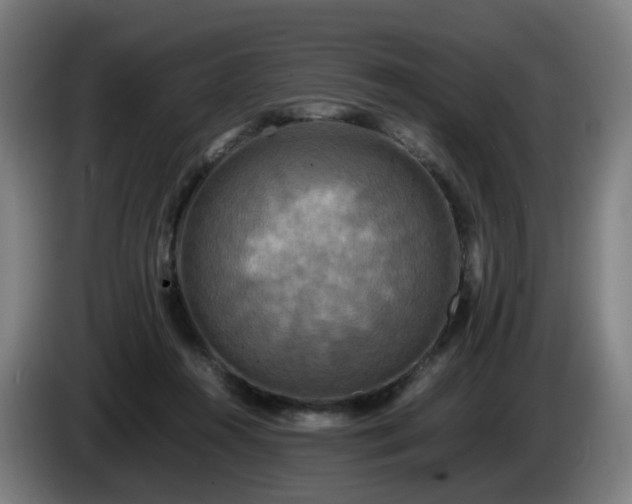 X0000086010360200703301015