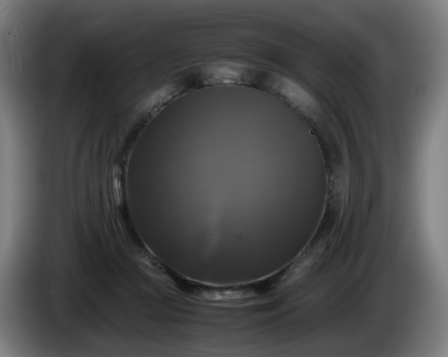 X0000086010361200703301015