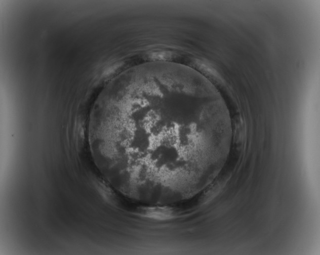 X0000086010363200703301015