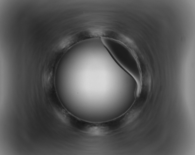 X0000086010364200703301015