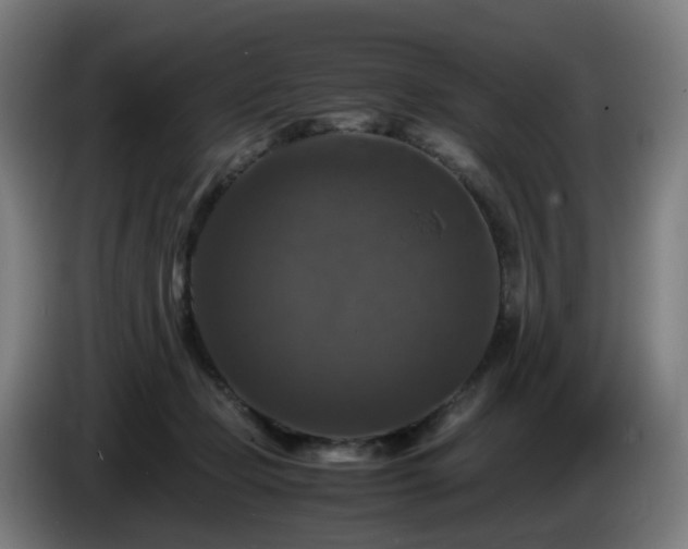 X0000086010365200703301015