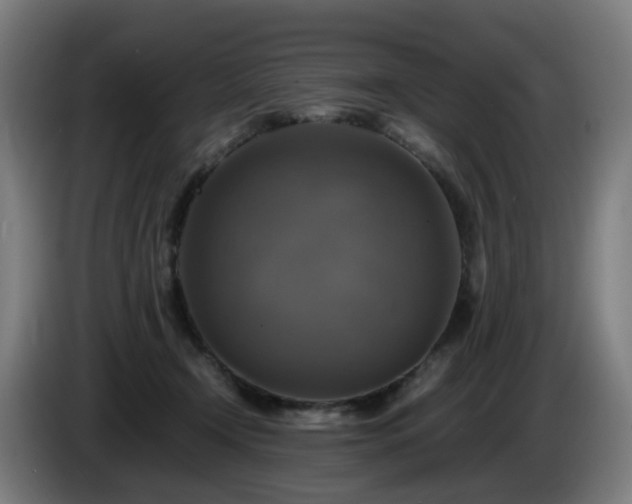 X0000086010366200703301015