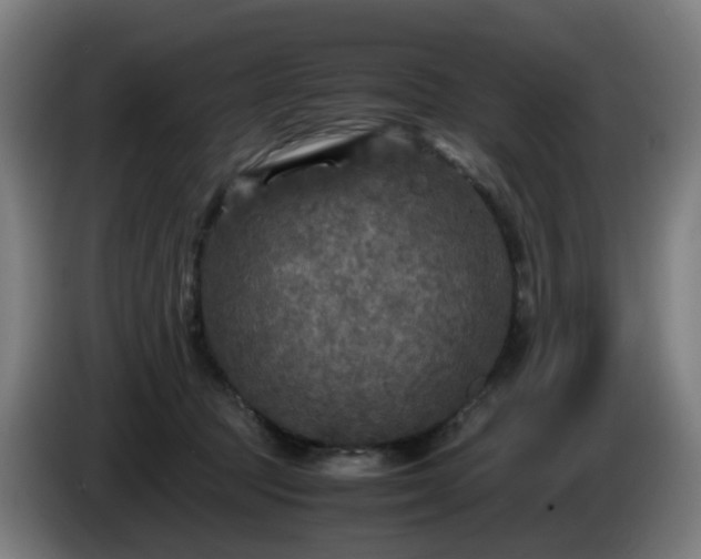 X0000086010369200703301015
