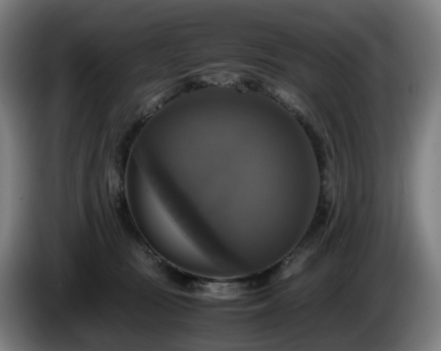 X0000086010371200703301015