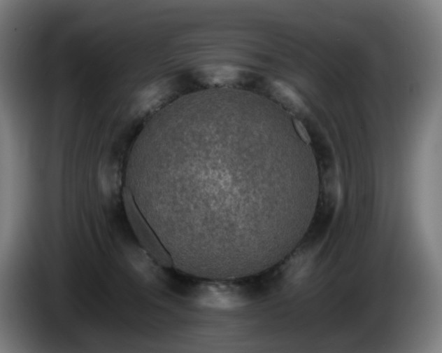 X0000086010372200703301015
