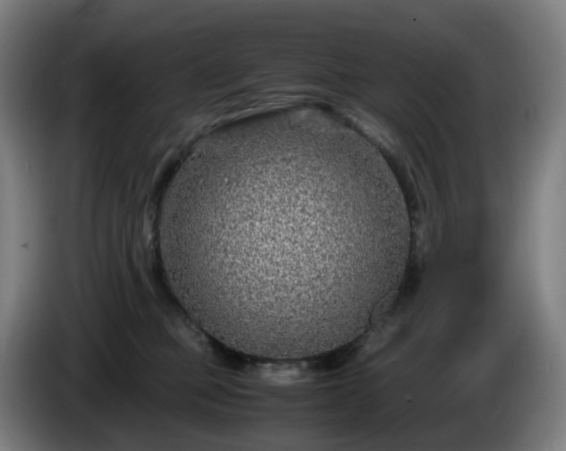 X0000086010373200703301015