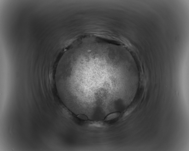 X0000086010377200703301015