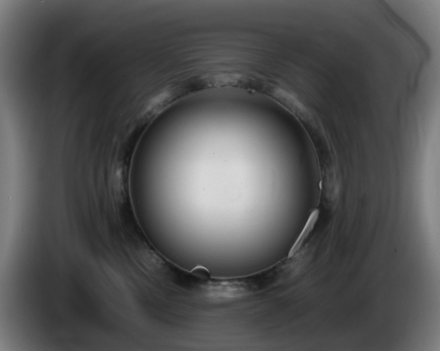 X0000086010378200703301015