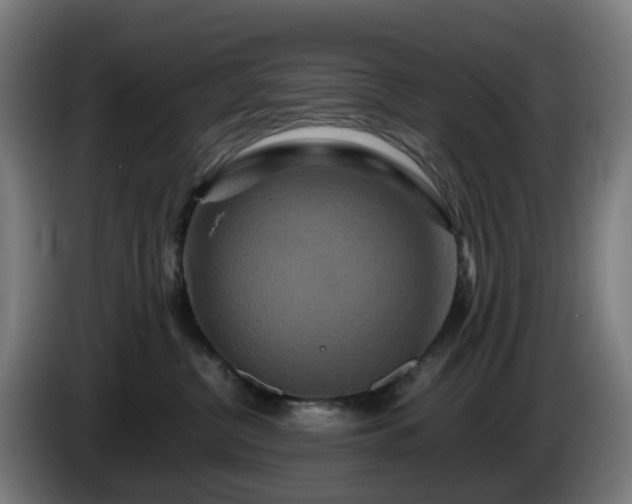 X0000086010380200703301015
