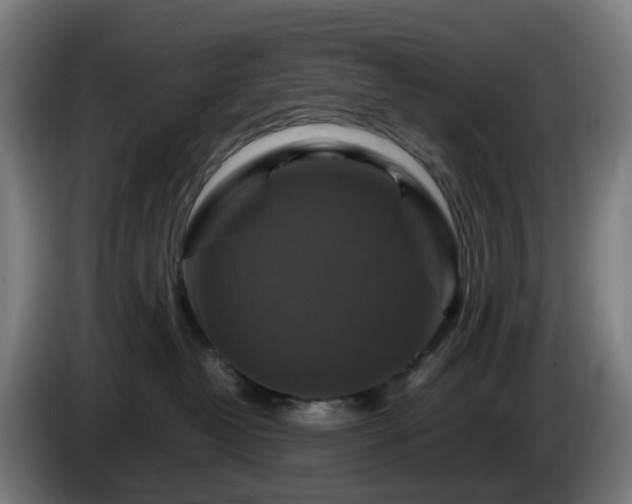 X0000086010382200703301016