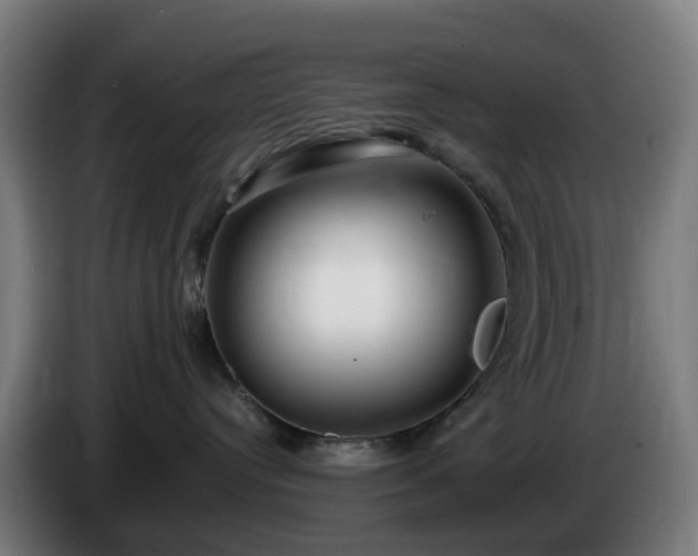 X0000086010384200703301016