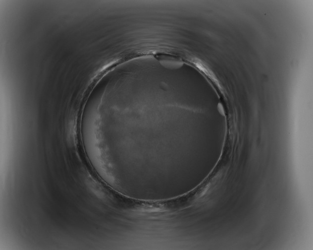 X0000086010386200703301015