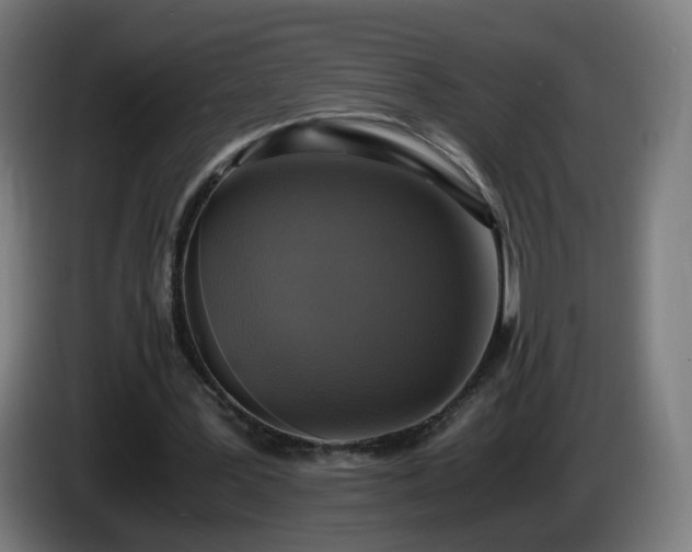 X0000086010387200703301015