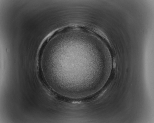 X0000086010388200703301015