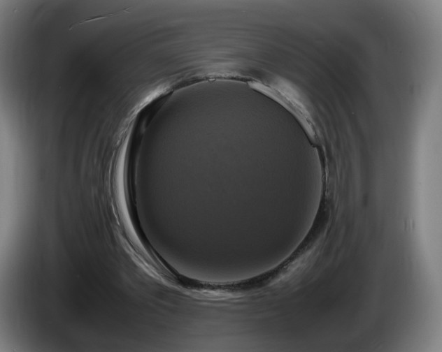 X0000086010389200703301015