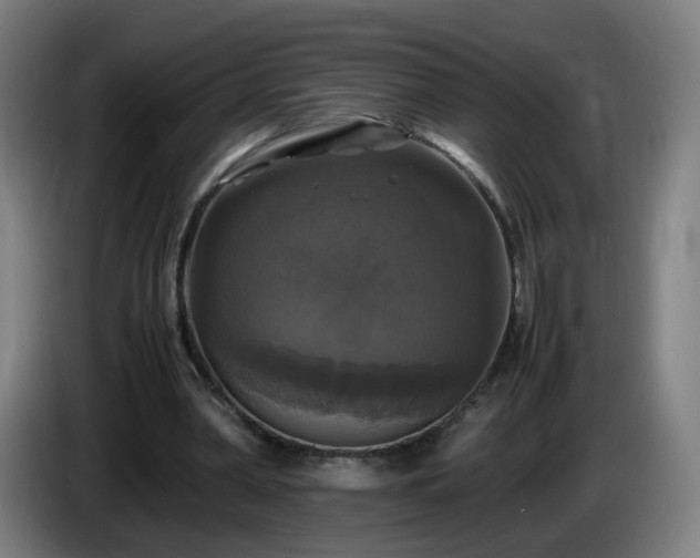 X0000086010390200703301015