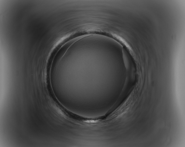 X0000086010391200703301015