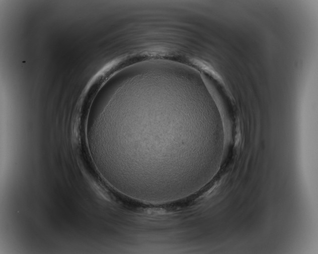 X0000086010392200703301015