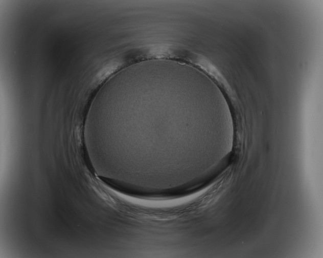 X0000086010393200703301015