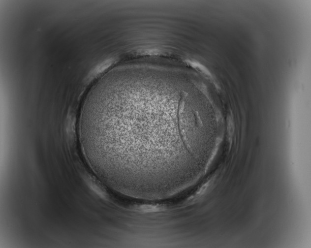 X0000086010394200703301015