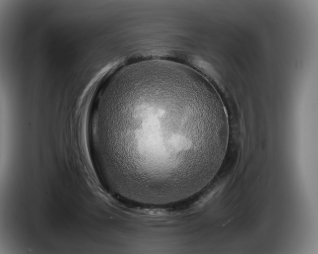 X0000086010395200703301015