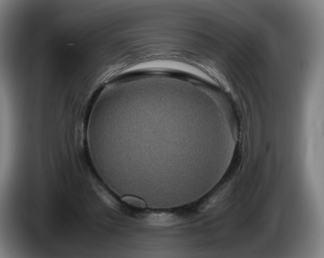 X0000086010397200703301015