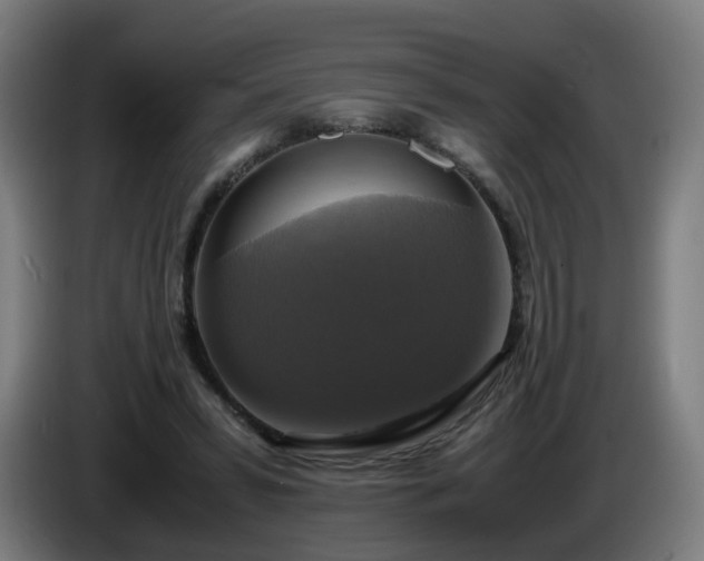 X0000086010399200703301015